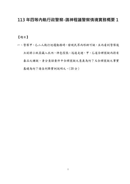 113年四等內軌行政警察-鴿神程議警察情境實務概要 113年四等內軌行政警察-鴿神程議警察情境實務概要